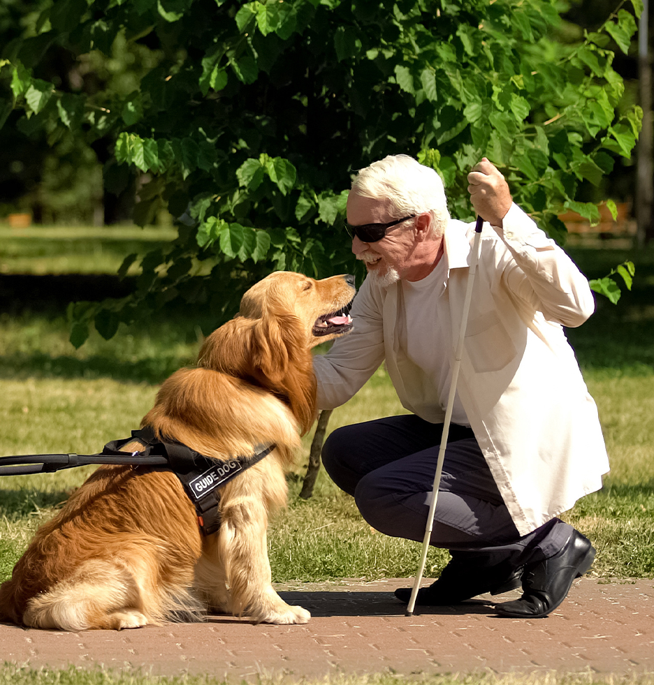Σκυλιά οδηγοί για ορατές και μη αναπηρίες